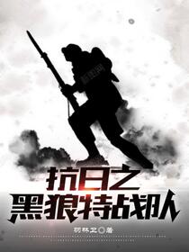 铁血抗日之血战到底免费阅读_铁血抗日之血战到底
